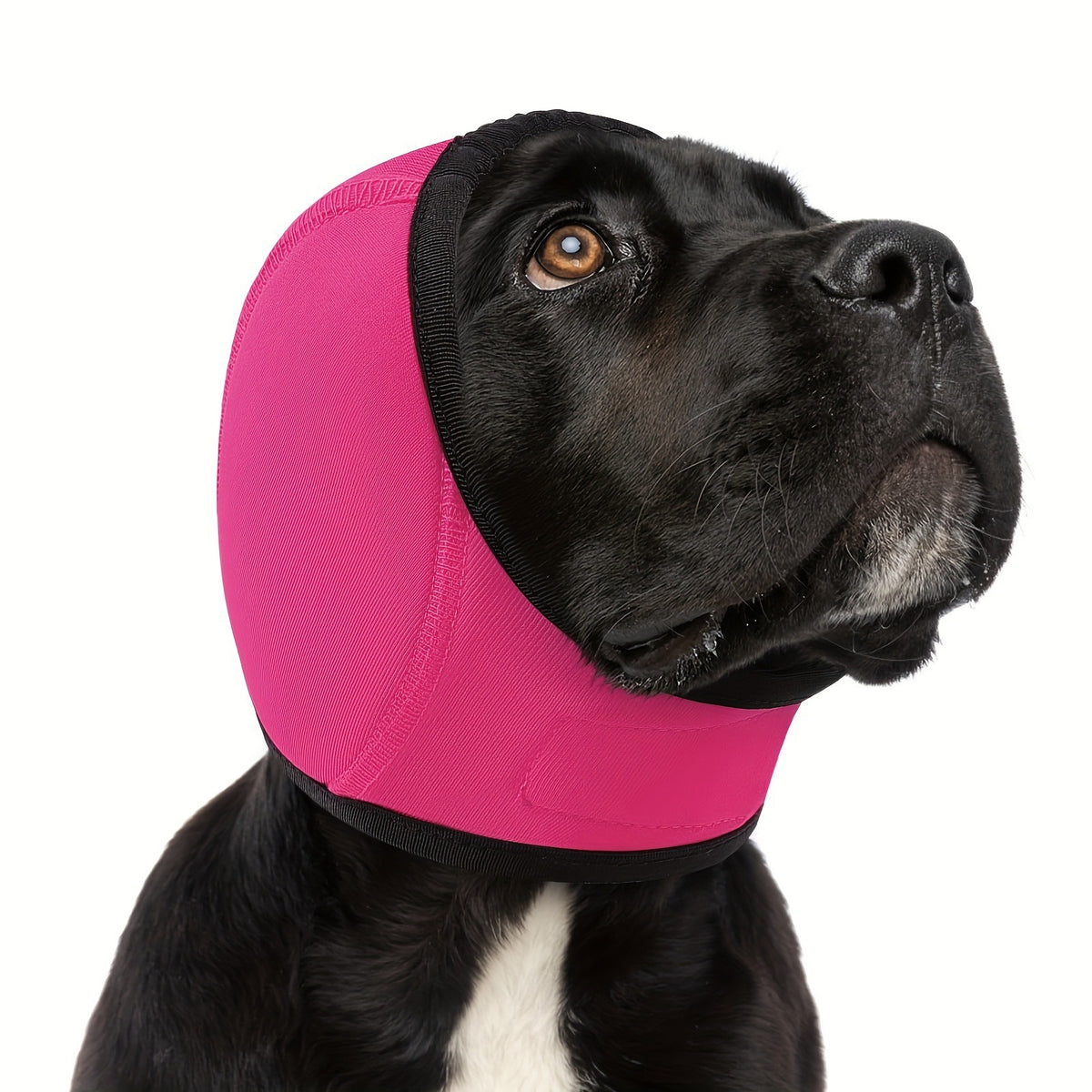 Noise-canceling earmuffs for dogs